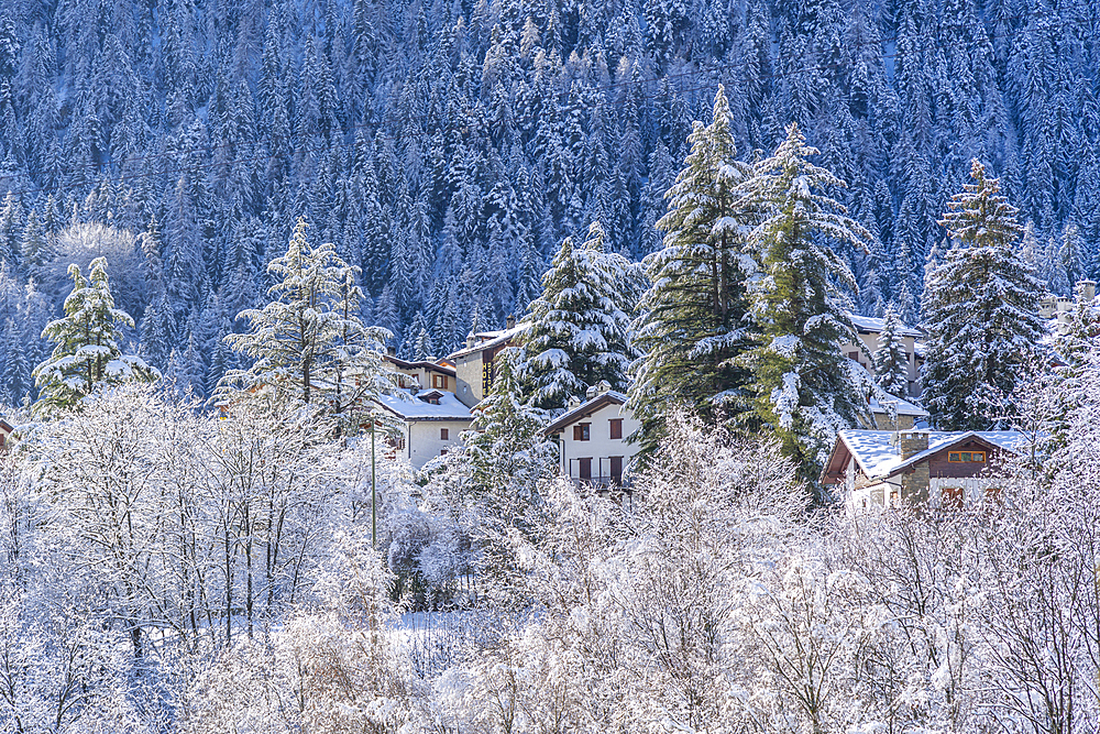 View of snow covered chalets, trees and mountains from Dolonne during winter, Courmayeur, Aosta Valley, Italy, Europe