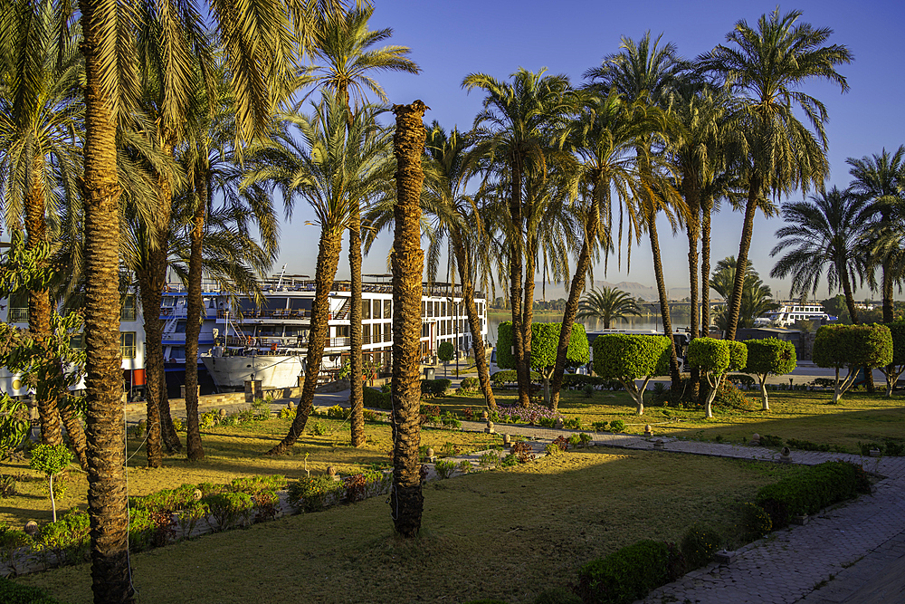 View of cruise boat and gardens at dawn at Al Daba 'Eya near Luxor, Luxor, Egypt, Africa