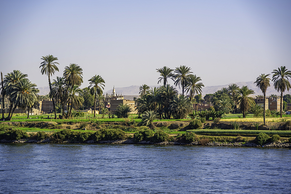 View of scenery from cruise boat near Armant on the Nile River, Luxor, Egypt, Africa