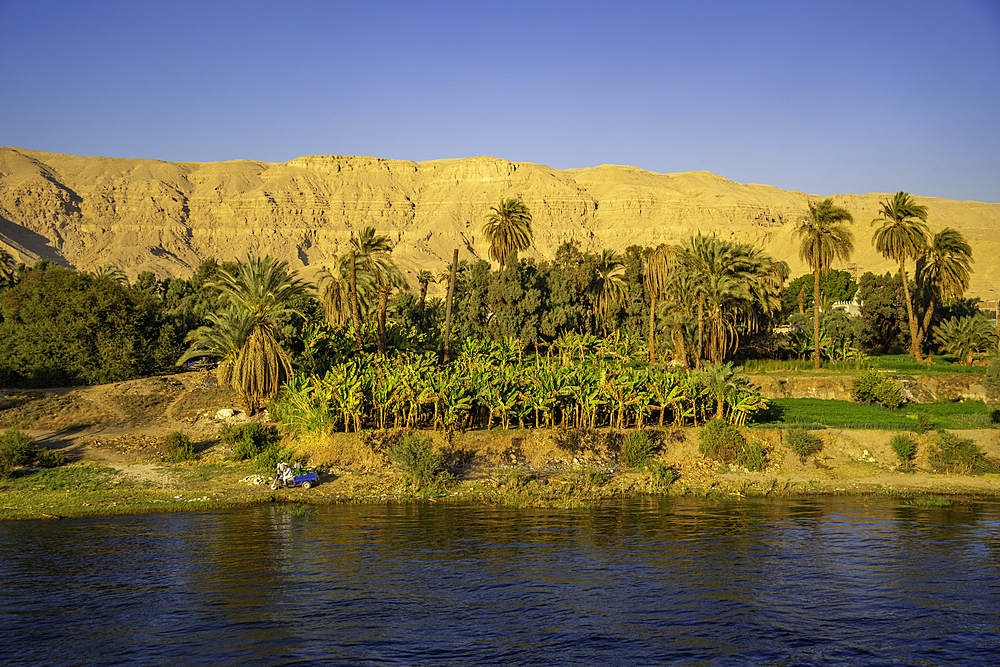 View of lush scenery from cruise boat near Al Dababia on the Nile River, Luxor, Egypt, Africa