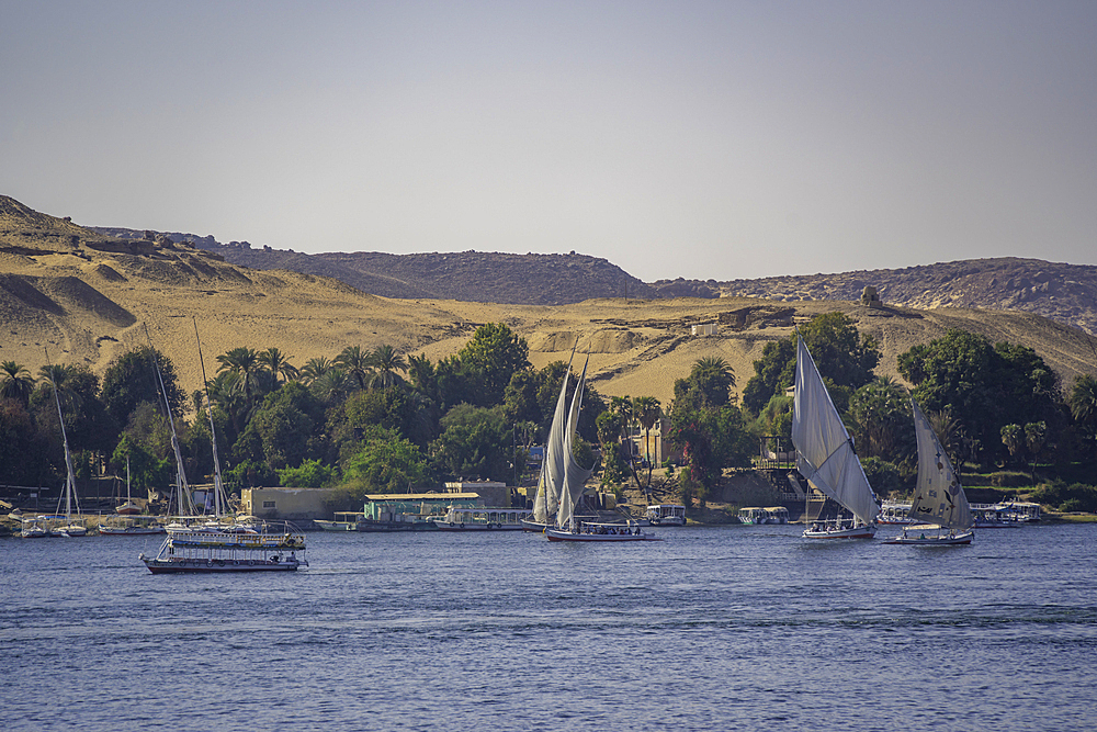 View of fellucas on the Nile river on a sunny day, Aswan, Nubia, Egypt, North Africa, Africa