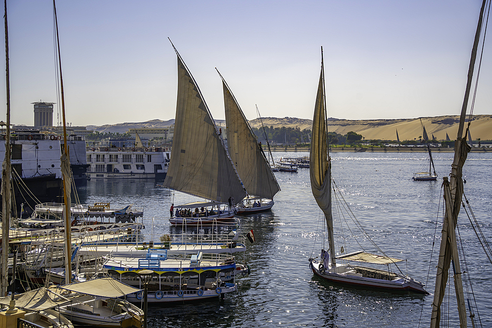 View of fellucas on the Nile river on a sunny day, Aswan, Nubia, Egypt, North Africa, Africa