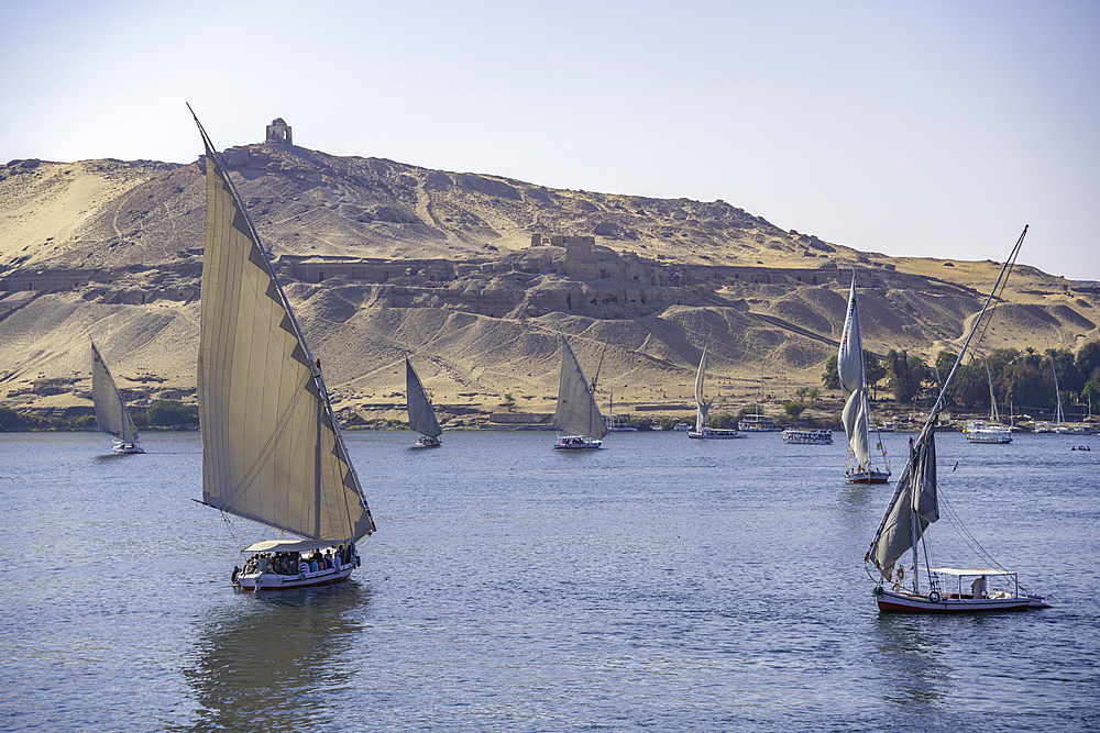 View of fellucas on the Nile river on a sunny day, Aswan, Nubia, Egypt, North Africa, Africa