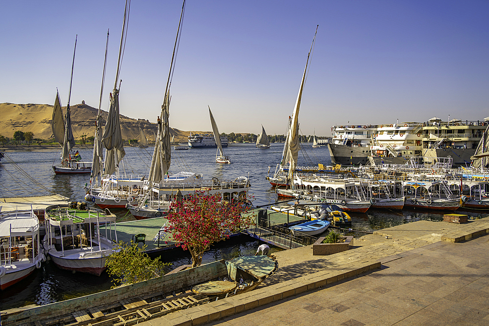 View of fellucas on the Nile river on a sunny day, Aswan, Nubia, Egypt, North Africa, Africa