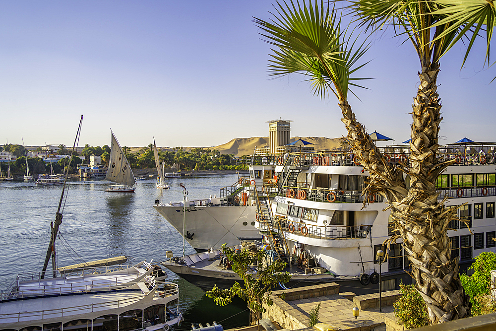 View of cruiseboats on the Nile river from the promenade on a sunny day, Aswan, Nubia, Egypt, North Africa, Africa