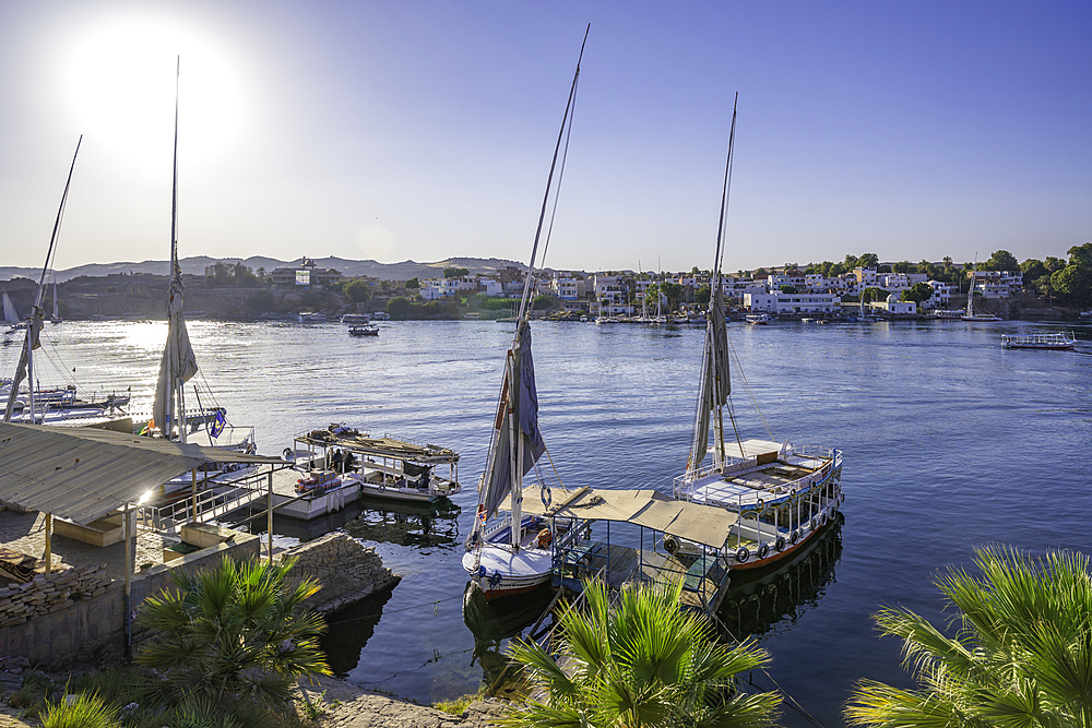 View of fellucas on the Nile river on a sunny day, Aswan, Nubia, Egypt, North Africa, Africa