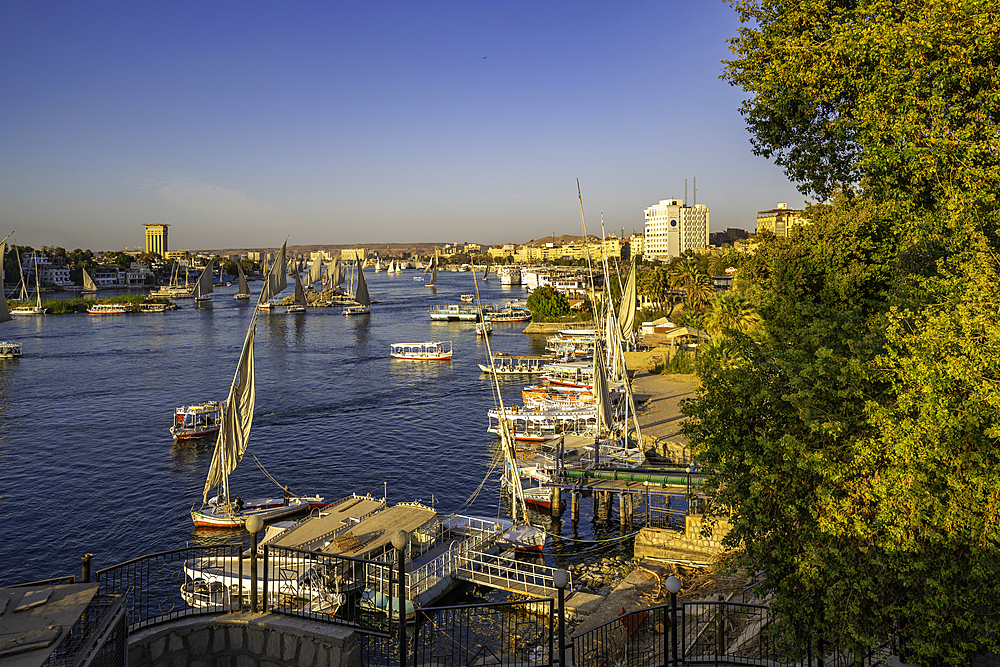 View of fellucas on the Nile river from Feryal Garden during golden hour, Aswan, Nubia, Egypt, North Africa, Africa
