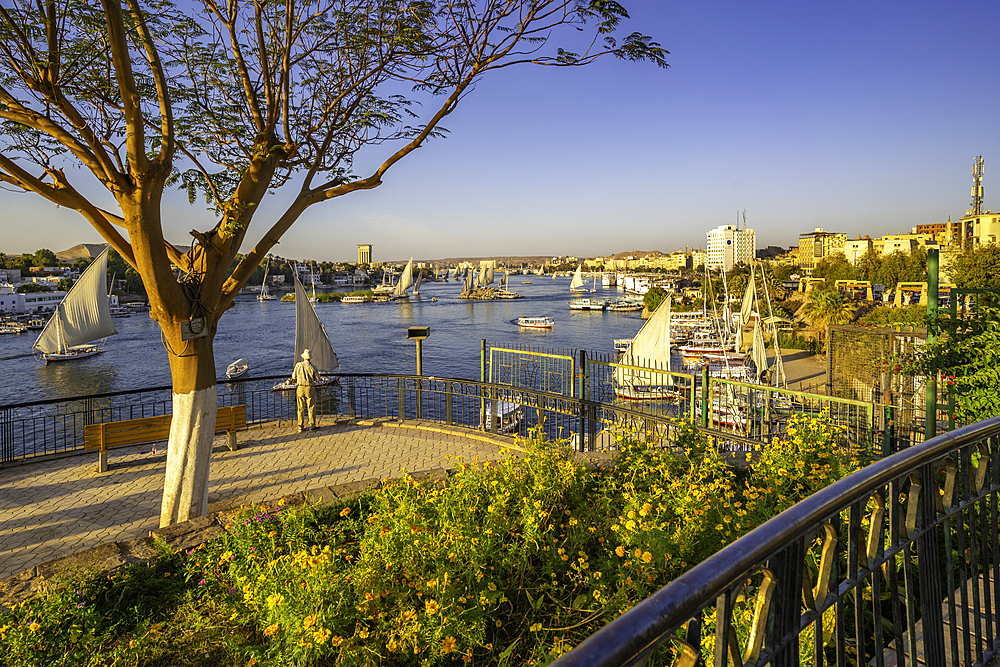 View of fellucas on the Nile river from Feryal Garden during golden hour, Aswan, Nubia, Egypt, North Africa, Africa