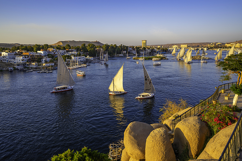 View of fellucas on the Nile river from Feryal Garden during golden hour, Aswan, Nubia, Egypt, North Africa, Africa