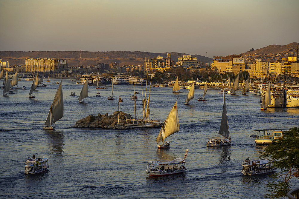 View of fellucas on the Nile river from Feryal Garden during golden hour, Aswan, Nubia, Egypt, North Africa, Africa
