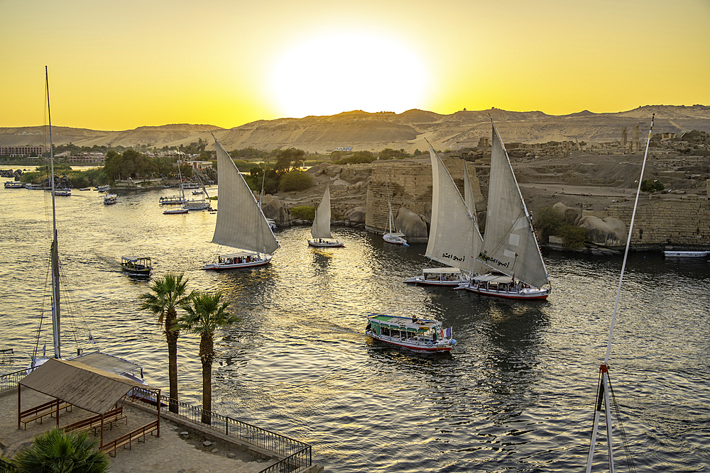 View of fellucas on the Nile river from Feryal Garden during golden hour, Aswan, Nubia, Egypt, North Africa, Africa