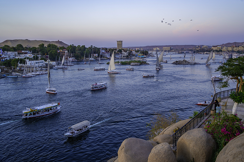 View of fellucas on the Nile river from Feryal Garden at dusk, Aswan, Nubia, Egypt, North Africa, Africa