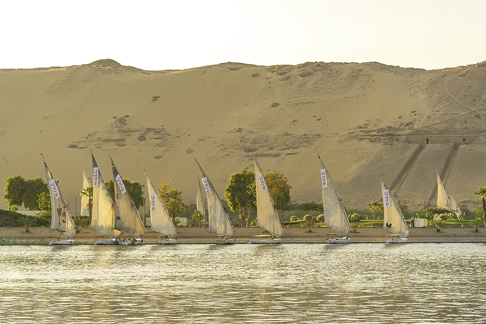 View of fellucas on the Nile river during golden hour, Aswan, Nubia, Egypt, North Africa, Africa