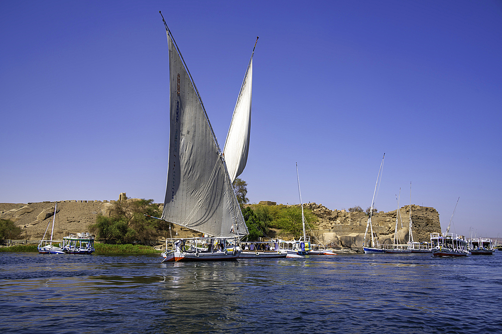 View of feluccas on the Nile river from small boat in Aswan, Aswan, Nubia, Egypt, North Africa, Africa