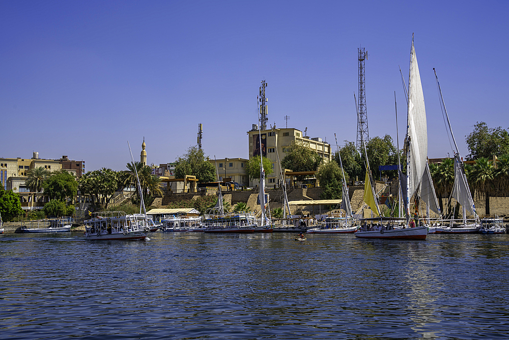 View of feluccas on the Nile river from small boat in Aswan, Aswan, Nubia, Egypt, North Africa, Africa