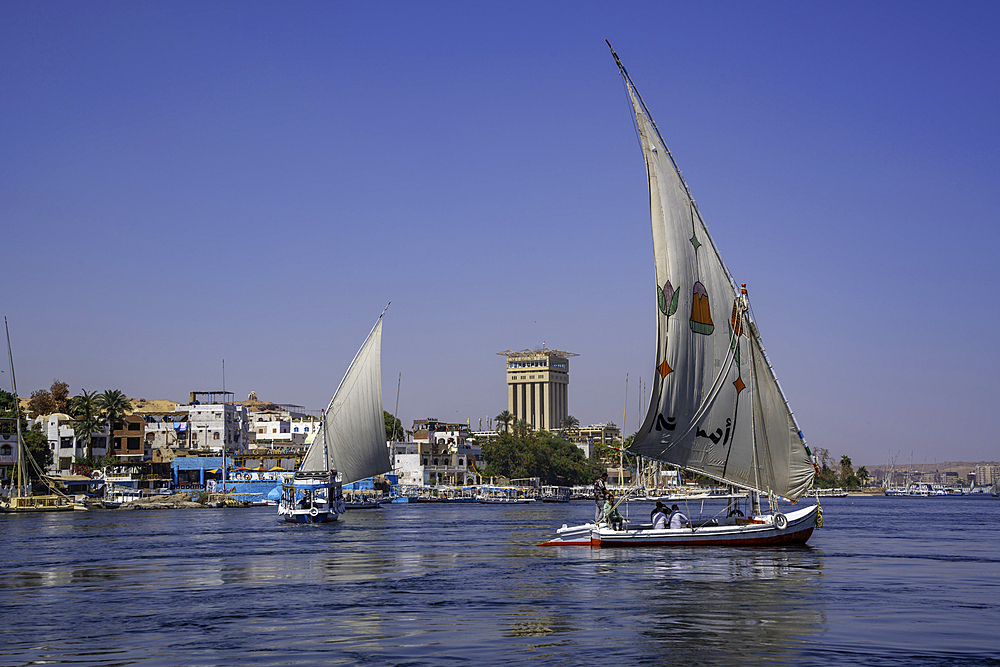 View of feluccas on the Nile river from small boat in Aswan, Aswan, Nubia, Egypt, North Africa, Africa