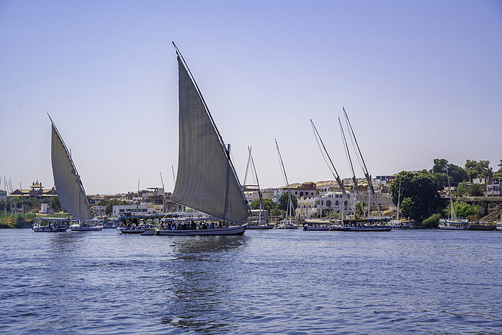 View of feluccas on the Nile river from small boat in Aswan, Aswan, Nubia, Egypt, North Africa, Africa