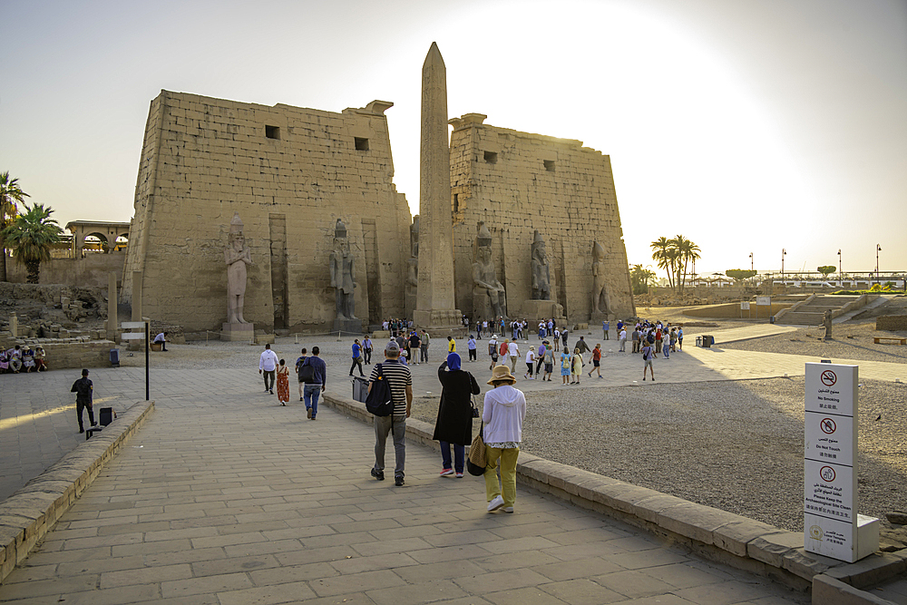 View of Luxor Temple during golden hour, Luxor, Egypt, Africa