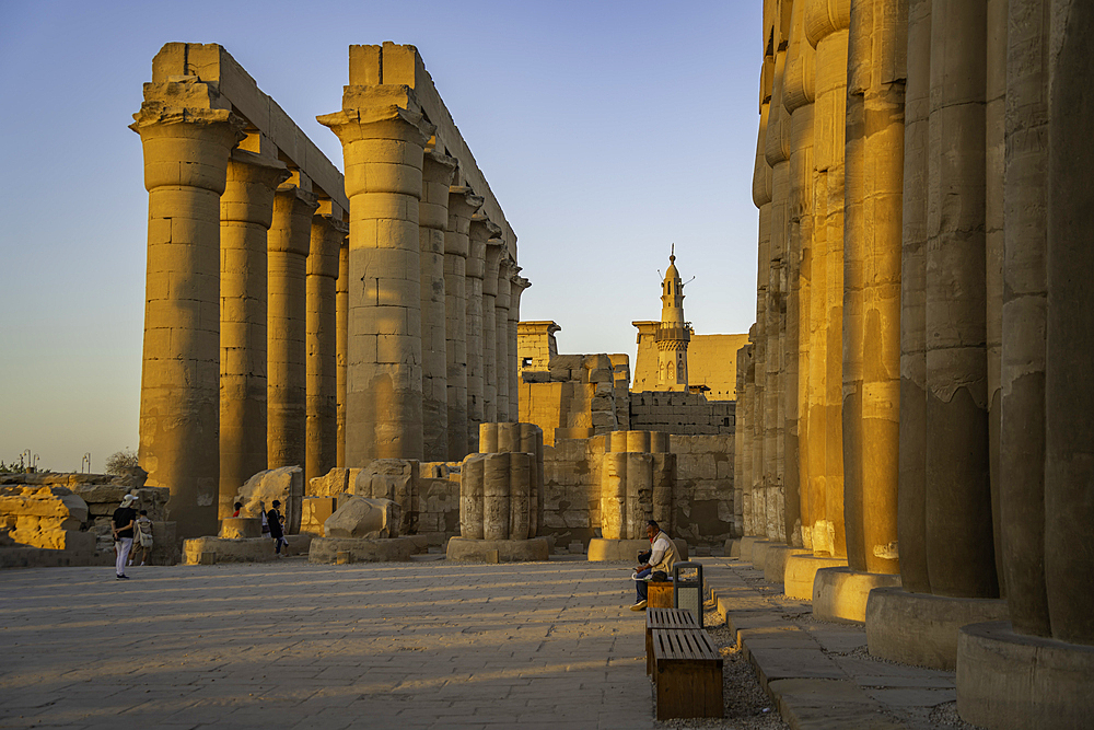 View of Luxor Temple during golden hour, Luxor, Egypt, Africa