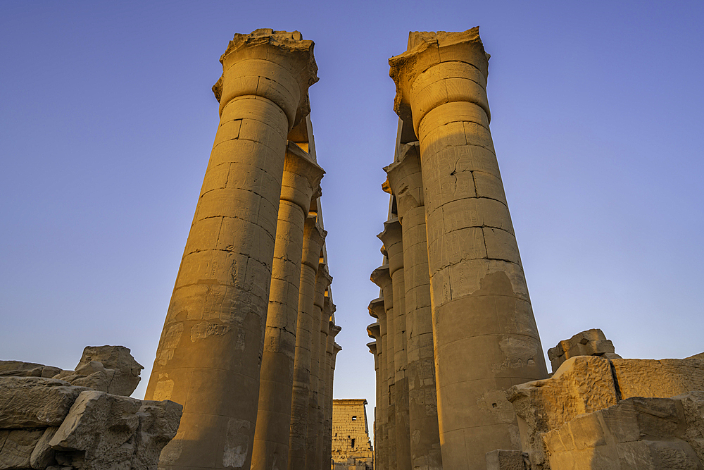 View of Luxor Temple during golden hour, Luxor, Egypt, Africa