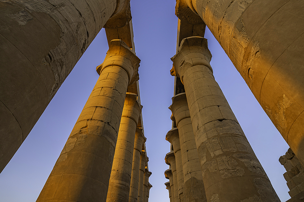 View of Luxor Temple during golden hour, Luxor, Egypt, Africa