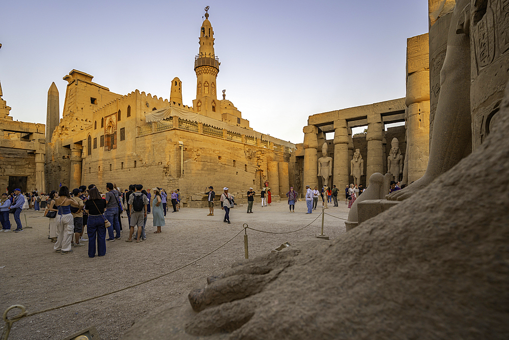 View of Luxor Temple during golden hour, Luxor, Egypt, Africa