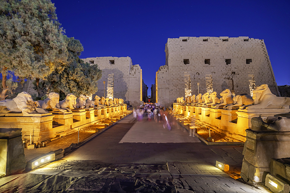 View of Karnak Temple sound and light show at dusk, Luxor, Egypt, Africa