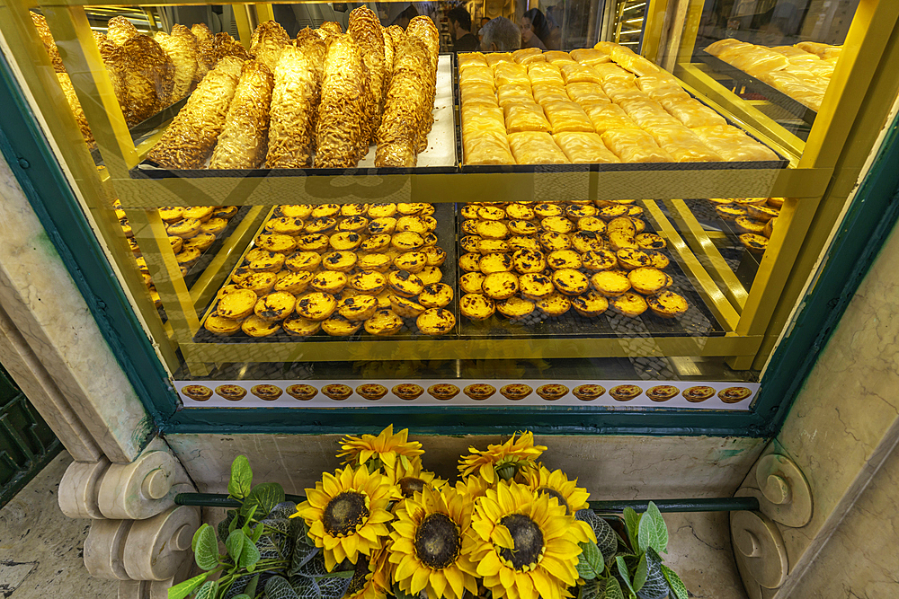 View of Pastel de Nata custard tarts in shop window in Lisbon city centre, Lisbon, Portugal, Europe