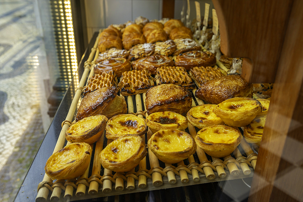 View of Pastel de Nata custard tarts in shop window in Lisbon city centre, Lisbon, Portugal, Europe