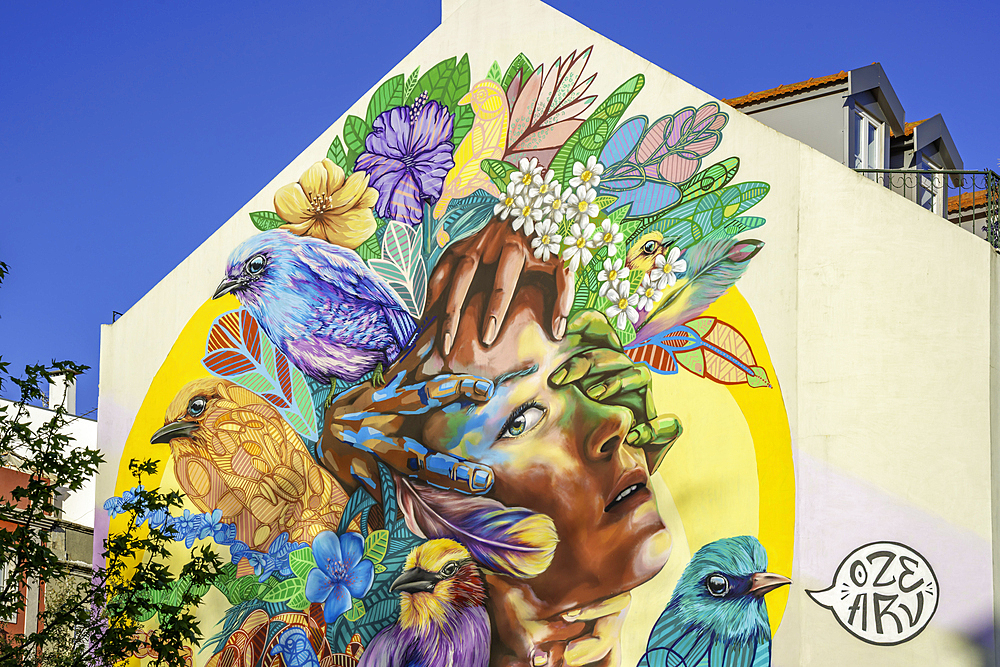 View of colourful wall painting on building in the Alfama District on a sunny day, Lisbon, Portugal, Europe