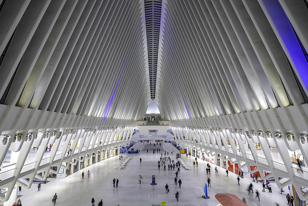 View of interior of the Oculus transportation hub at the World Trade Center at dusk in Lower Manhattan, New York City, United States of America, North America