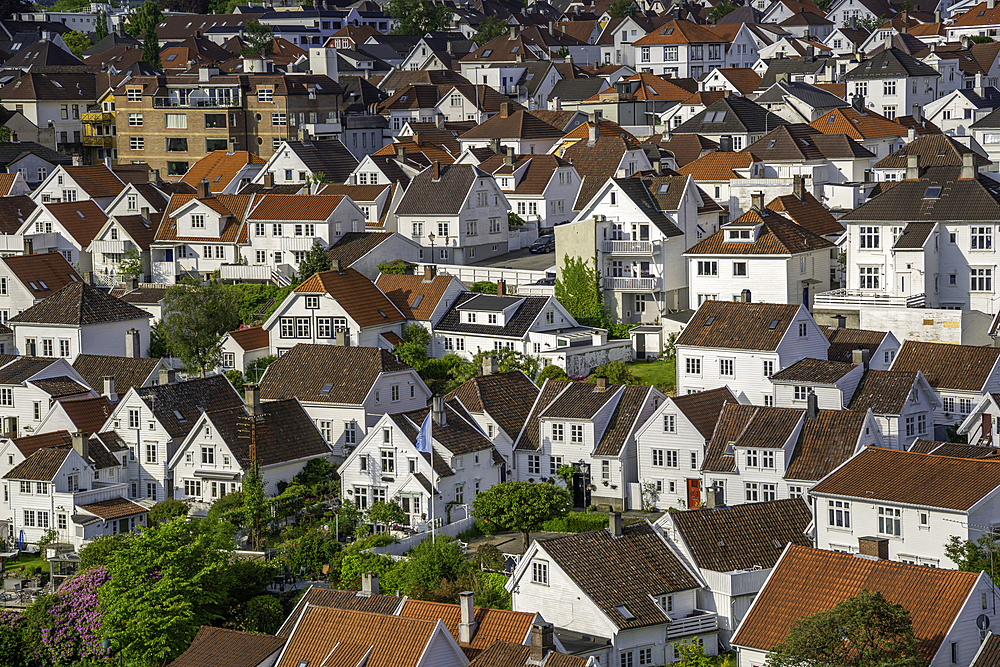 Aerial view of white wooden cottages in Gamle Stavanger during daytime, Stavanger, Norway