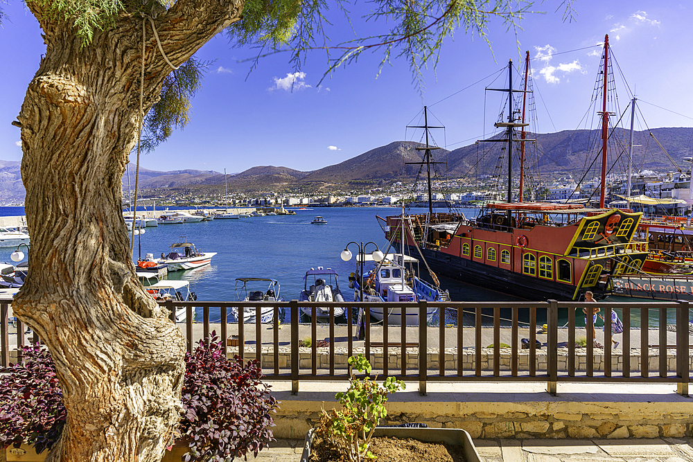 View of boats in Port of Hersonissos, Limenas Chersonisou, Crete, Greek Islands, Greece, Europe
