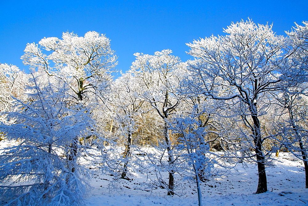 Snow scene on Snake Pass, Peak District National Park, Derbyshire, England, United Kingdom, Europe