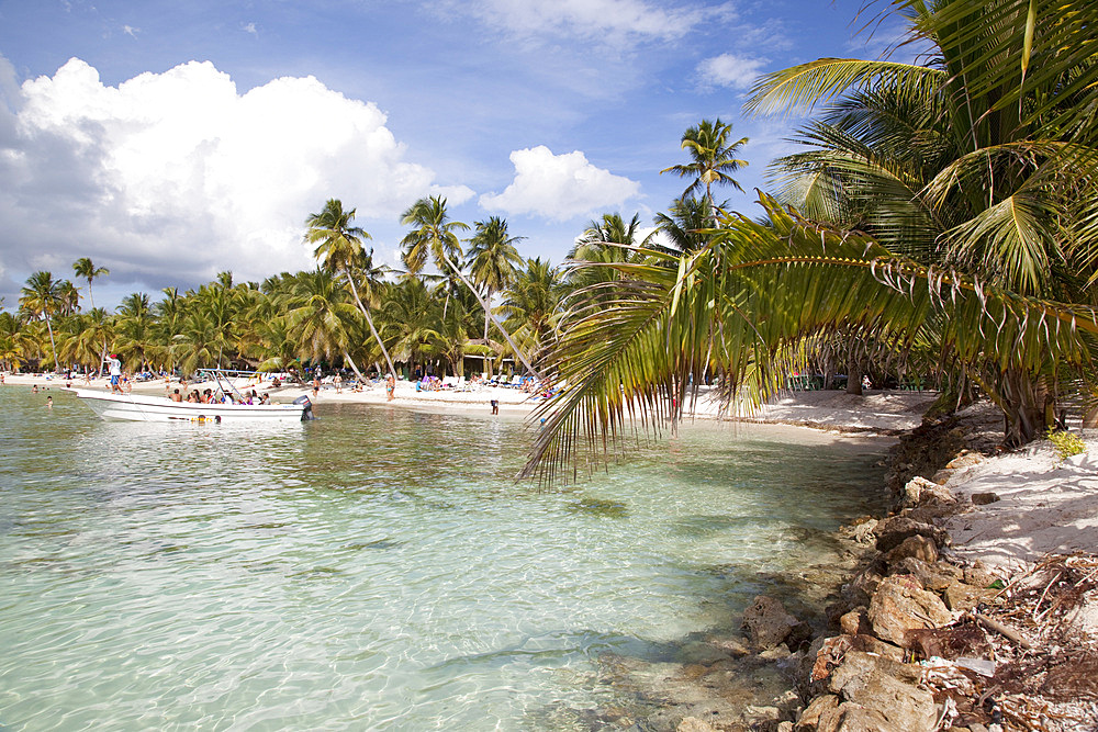 Saona Island, Dominican Republic, West Indies, Caribbean, Central America