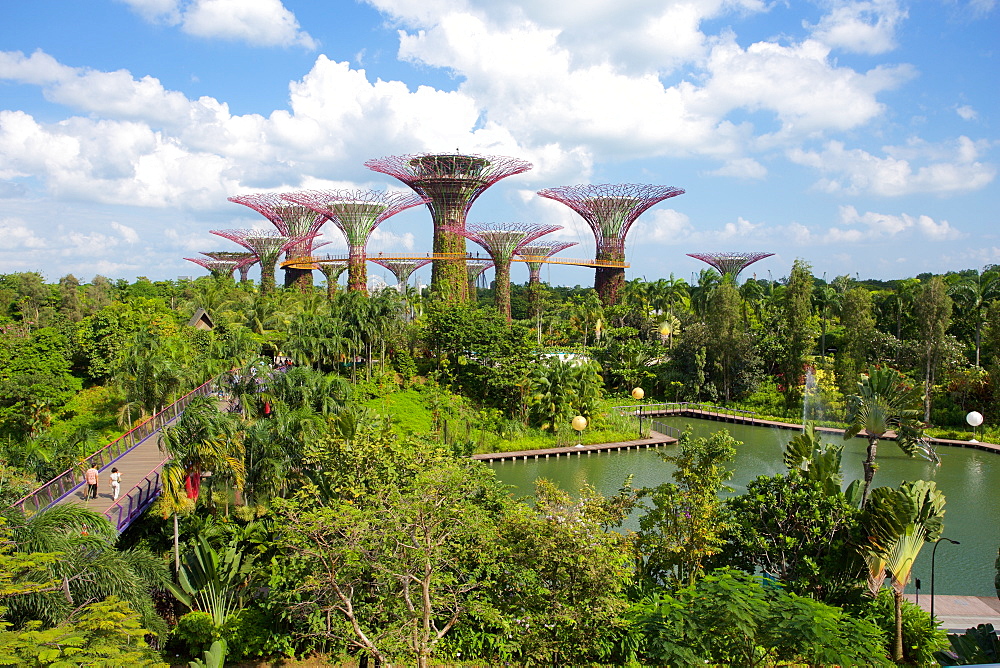 Gardens by the Bay, Singapore, Southeast Asia