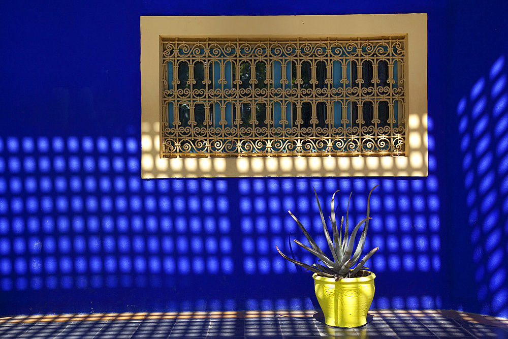 Majorelle Gardens, Marrakesh, Morocco, North Africa, Africa