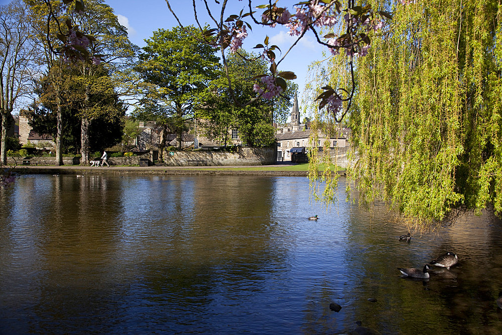 River Wye, Bakewell, Derbyshire, England, United Kingdom, Europe