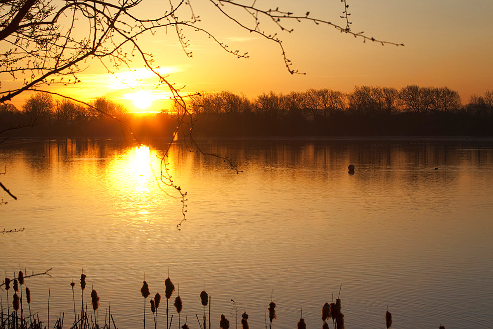 Sunrise over Kingsmill Reservoir, Sutton in Ashfield, Nottinghamshire, England, United Kingdom, Europe