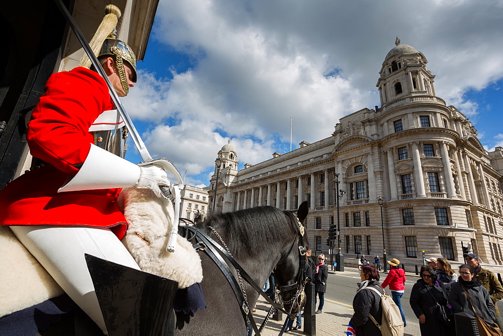 Guard on horseback, Whitehall, Westminster, London, England, United Kingdom, Europe