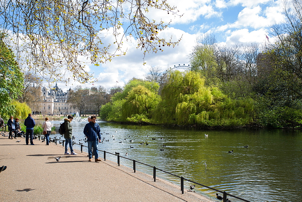 St. James's Park, Whitehall, Westminster, London, England, United Kingdom, Europe