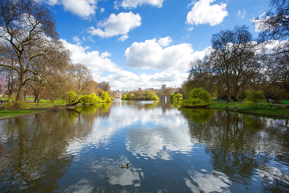 St. James's Park, Whitehall, Westminster, London, England, United Kingdom, Europe