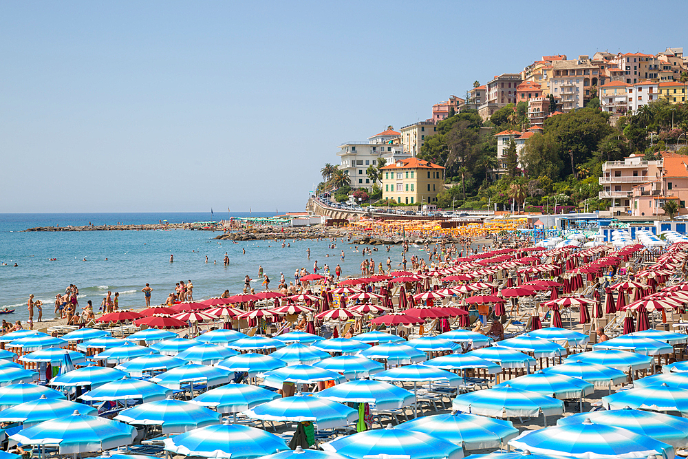 View of Imperia Harbour, Imperia, Liguria, Italy, Europe