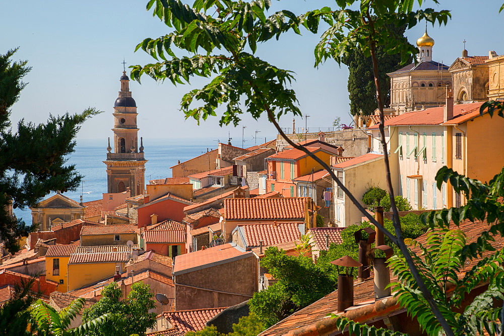 City view of medieval Menton and Basilique Saint Michel, Alpes-Maritimes, Cote d'Azur, Provence, French Riviera, France, Mediterranean, Europe