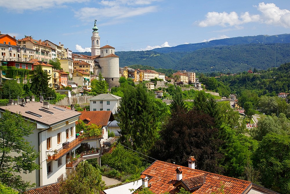 View of town and Duomo of San Martino, Belluno, Province of Belluno, Veneto, Italy, Europe