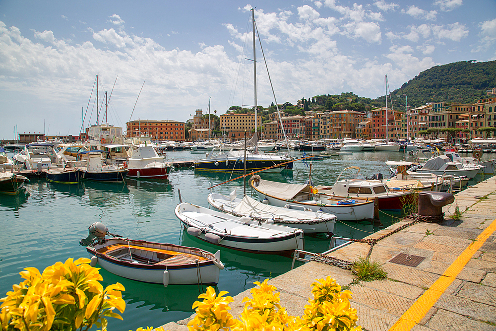 Santa Margherita Ligure harbour, Genova (Genoa), Liguria, Italy, Europe