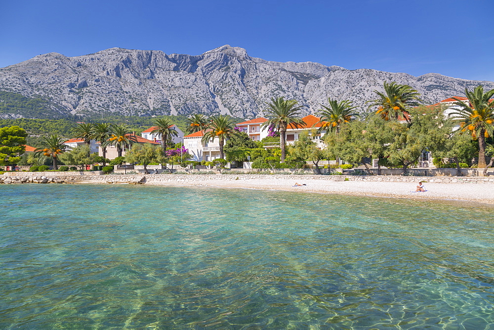 Shingle Beach, Orebic, Dalmatia, Croatia, Europe