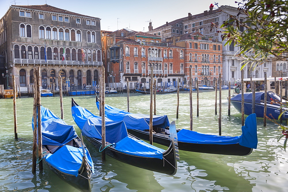 Grand Canal and Gondola Station, Venice, UNESCO World Heritage Site, Veneto, Italy, Europe