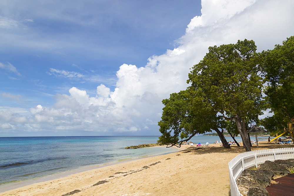 Beach near Speightstown, St. Peter, Barbados, West Indies, Caribbean, Central America