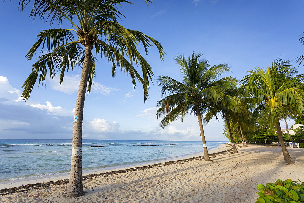 Savannah Beach, Savannah, Bridgetown, Christ Church, Barbados, West Indies, Caribbean, Central America